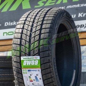 215/55R18 Doublestar DW09 95H - All-season tyres / Winter tyres
