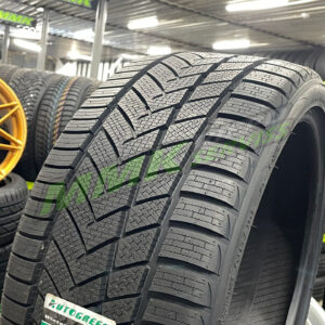 245/45R19 Autogreen Winter-Max A1 WL5 102V XL - All-season tyres / Winter tyres